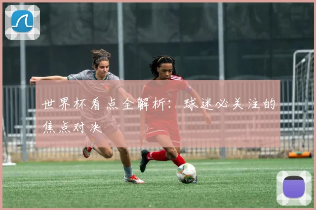 世界杯看点全解析:球迷必关注的焦点对决