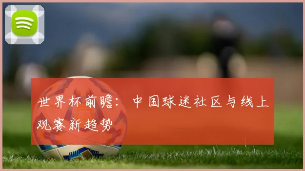 世界杯前瞻:中国球迷社区与线上观赛新趋势