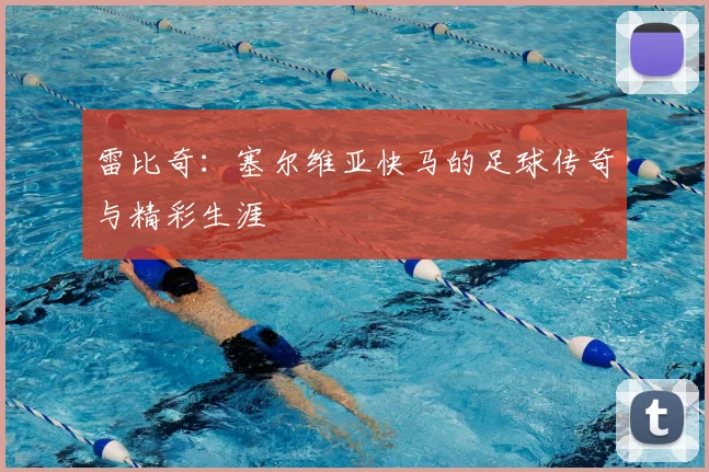 雷比奇：塞尔维亚快马的足球传奇与精彩生涯