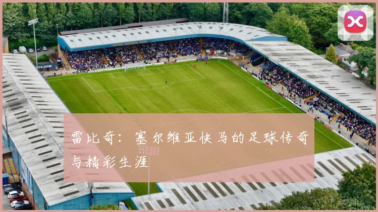 雷比奇:塞尔维亚快马的足球传奇与精彩生涯